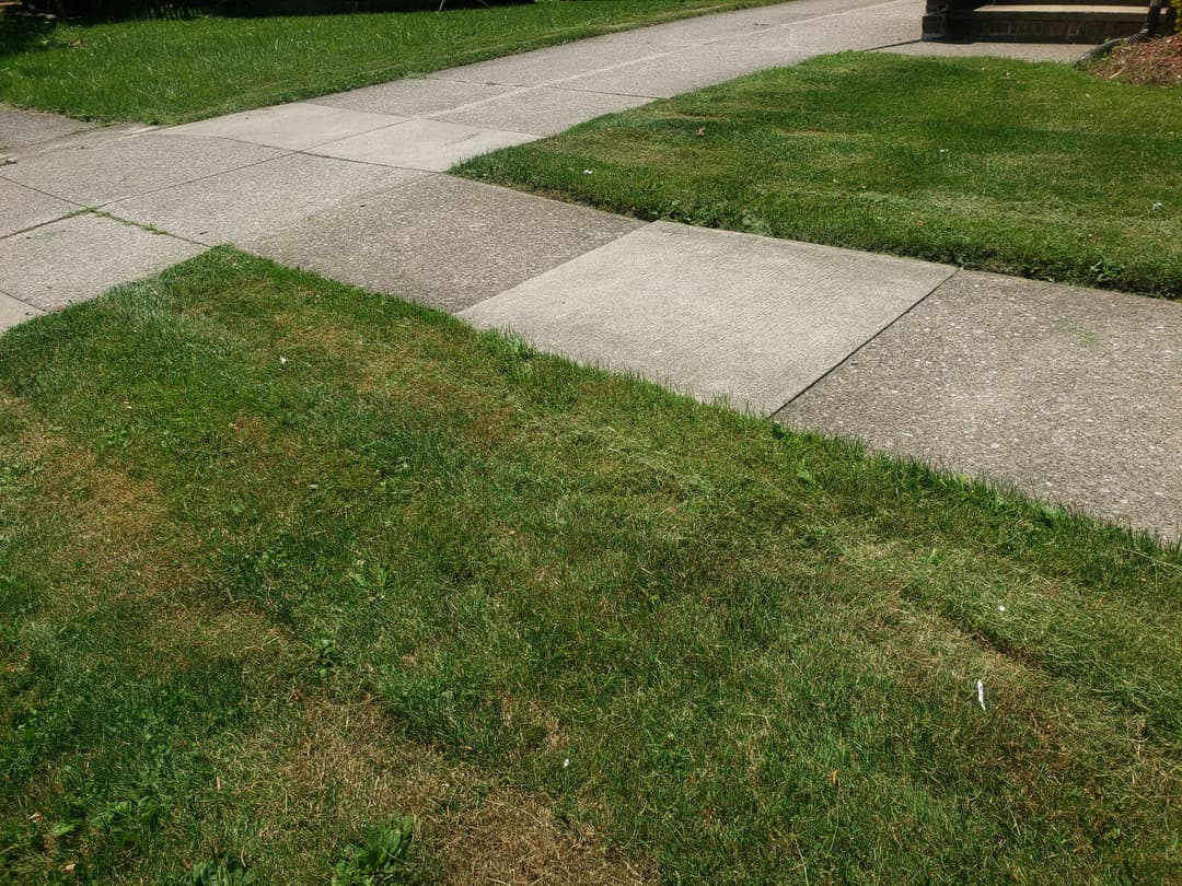 Cleveland Ohio lawn cleanup and maintenance service for landlords and apartment complexes